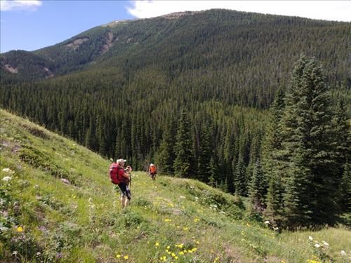 Exploration road above the creek.