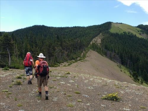 Exploration road leading to the higher meadows.