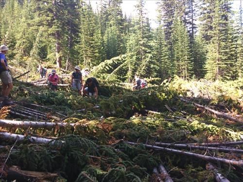 Conquering avalanche debris.
