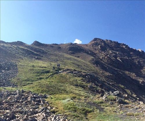 On the grassy part on the approach to North Summit of Highwood Ridge before the rocky areas.