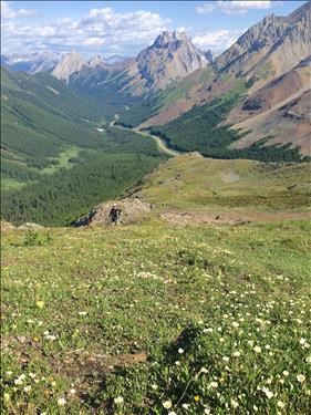 Looking back along the lower part of Highwood Ridge with Katrin catching up after taking photos of some of the lush flower displays.
