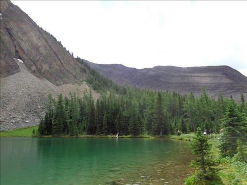 Where the Sheep Are (Galatea)