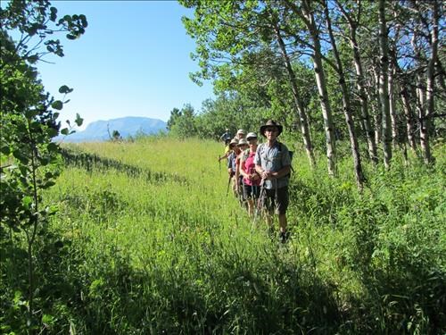 At the top of the first climb