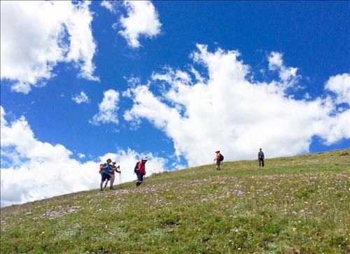 Leaving our lunch stop and reaching the final series of summits with Fleabanes