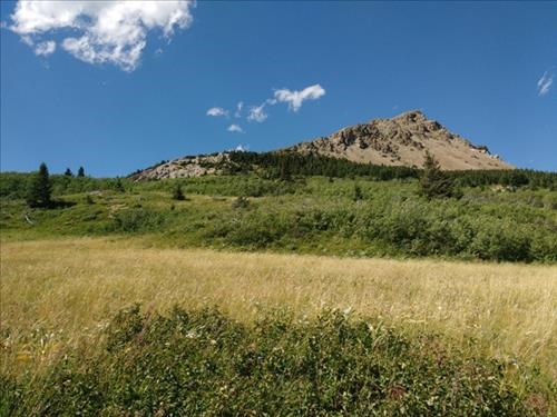 The end of Lakeview Ridge from the horse trail in the meadows.