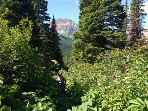 Yolande and the lush vegetation covering the trail.
