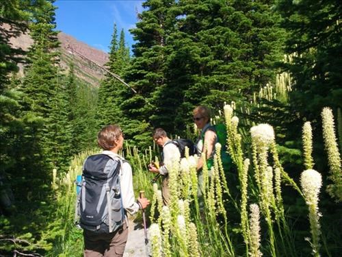Yolande, Peter, and Rejeanne surrounded by Bear Grass.