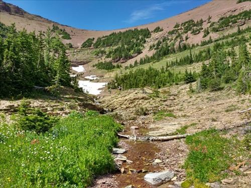 View of the col between Avion Ridge and Newman Peak.