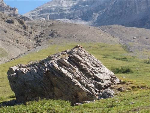 Marmot on the rock.