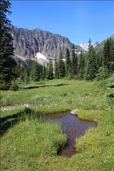 Approaching Taylor Lake