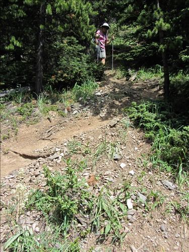 Steep trail up King Creek Ridge