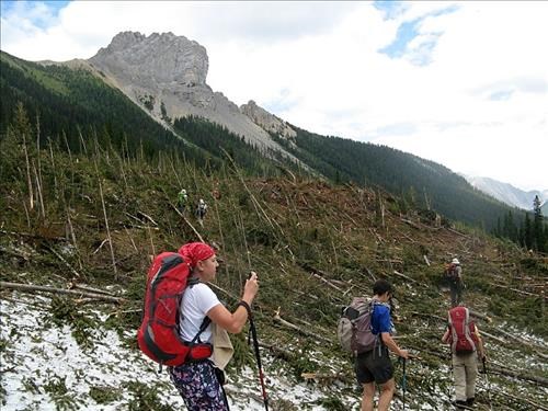 walking across a massive avalanche debris
