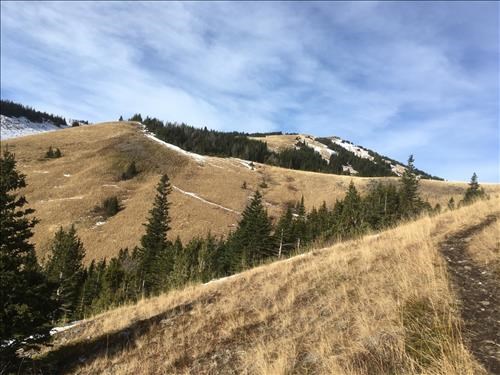 Mist Ridge Trail walk out 