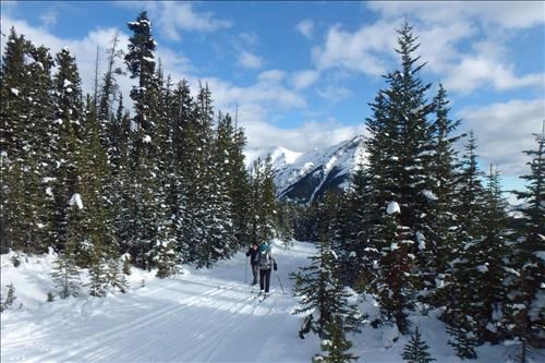 On the Skogan Loop trail