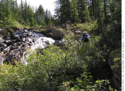 The creekside ascent to Oyster Lake