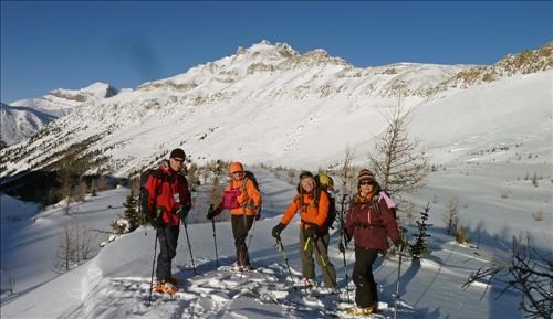 {256 Arnold Westberg}