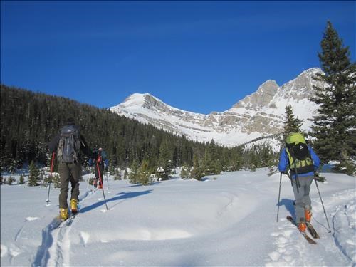 {1701 Ulrike Martin}