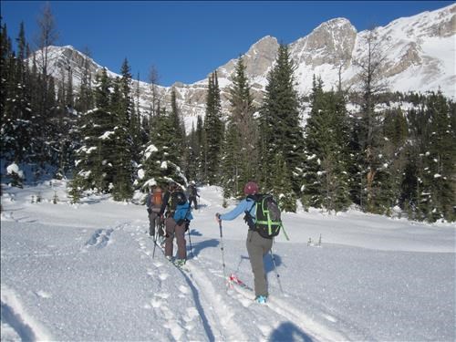 {1701 Ulrike Martin}