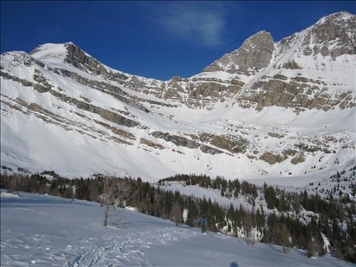 {1701 Ulrike Martin}