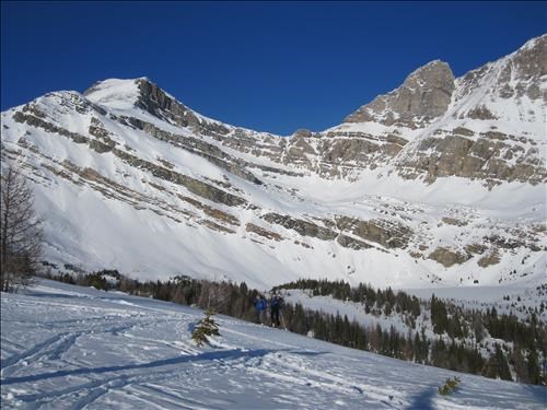 {1701 Ulrike Martin}