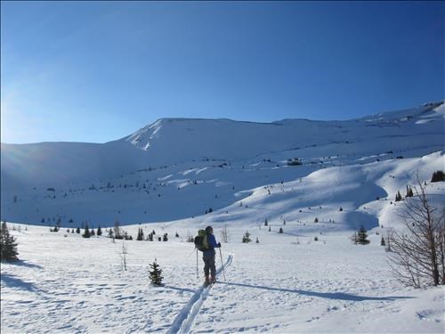 Clifton checking out the upper valley