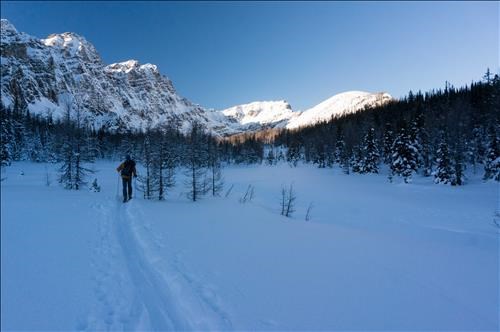 Meadows above Taylor Lake
