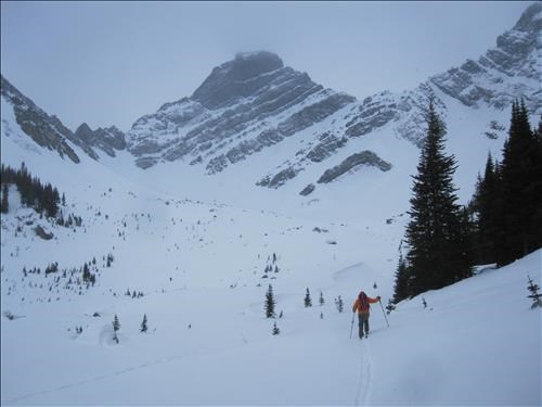 {1701 Ulrike Martin}