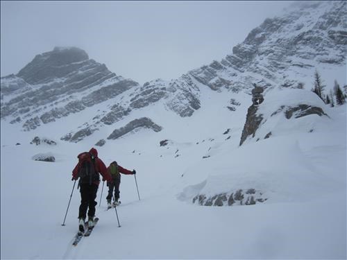 {1701 Ulrike Martin}