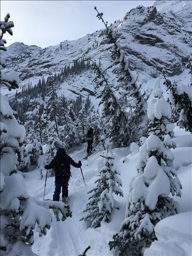 {1963 Carol Guthrie}