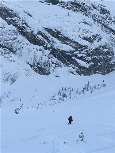 {1963 Carol Guthrie}