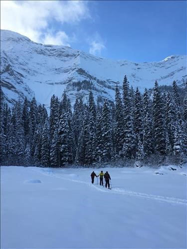 {1963 Carol Guthrie}