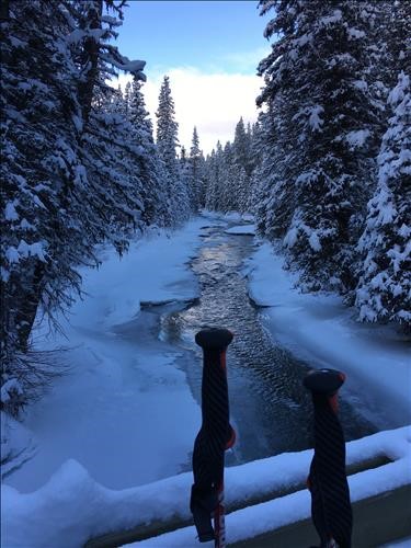 {1963 Carol Guthrie}