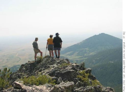 Summit of Old Scraggy Peak