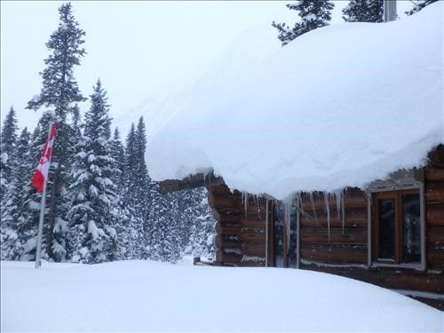 Lots of snow.