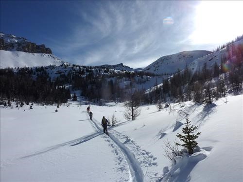 The final push across the meadow heading for Purple bowl.