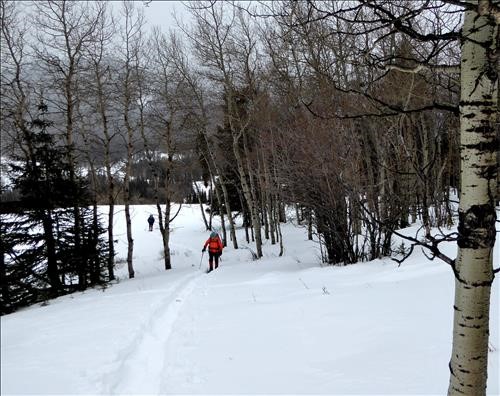 {172 Christine Grot} at the start of Junction Hill.