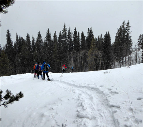 Heading back into the trees and the snow is persistent.