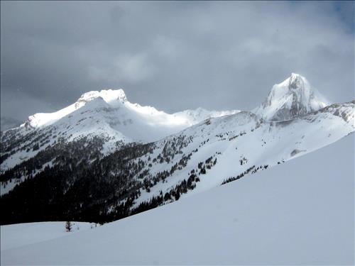 "Smutwood" and Smuts from Birdwood col