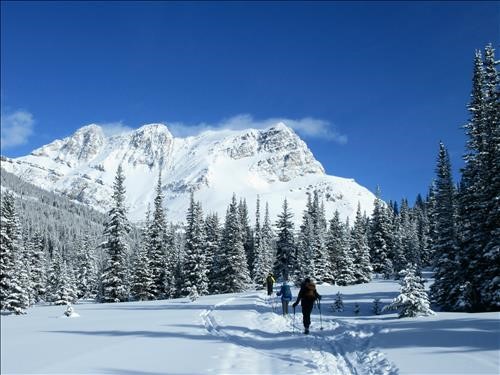  Heading up the Boulder Pass trail with Ptarmigan Peak in the background