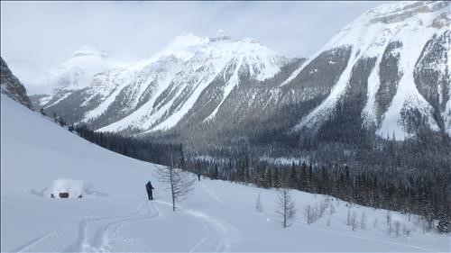 Chickadee Valley