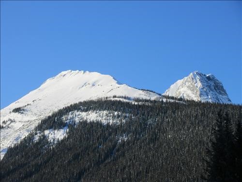 Commonwealth Ridge