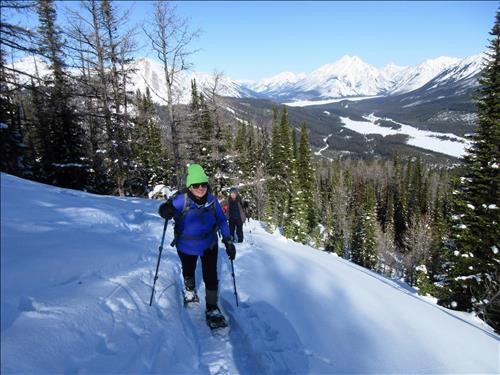 Janice approaching treeline
