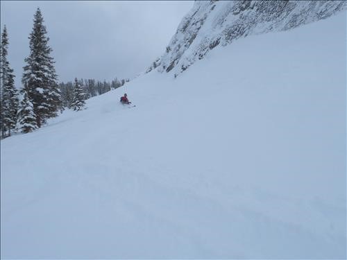 Chip enjoying the pow