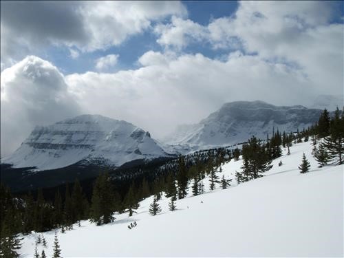Looking West towards Bow Peak and Crowfoot Mountain