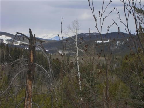 Afternoon mountain view