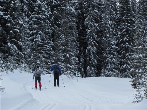 {826 John Katay} & {532 John Duerden} heading south on Tyrwhitt trail