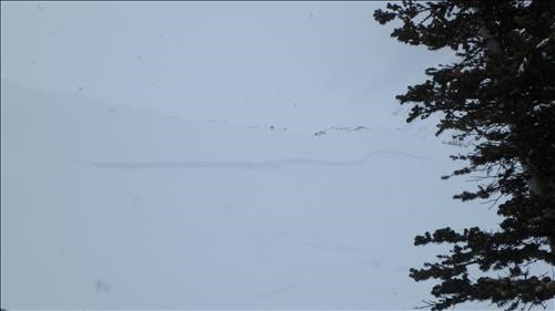 Avalanche crown directly above bench