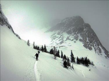Avalanche below Birdwood (click to magnify)