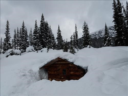 Dave Henry Sauna