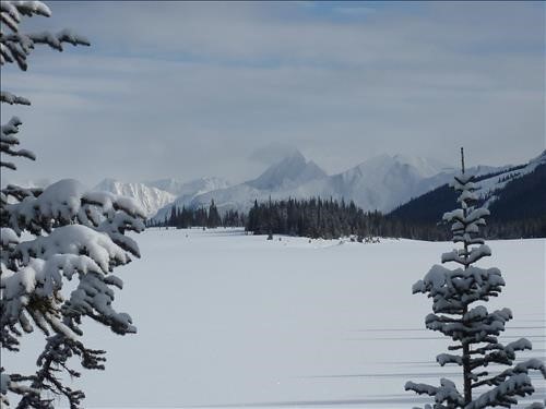 A view across the lake to the east from behind the cabin